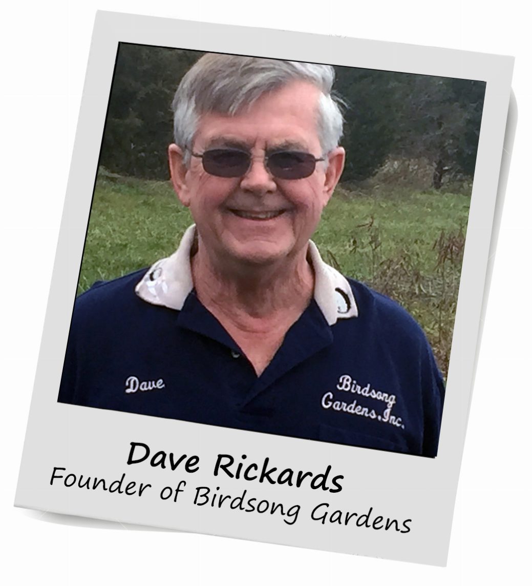 Dave Rickards